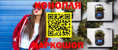 тгк Аргун